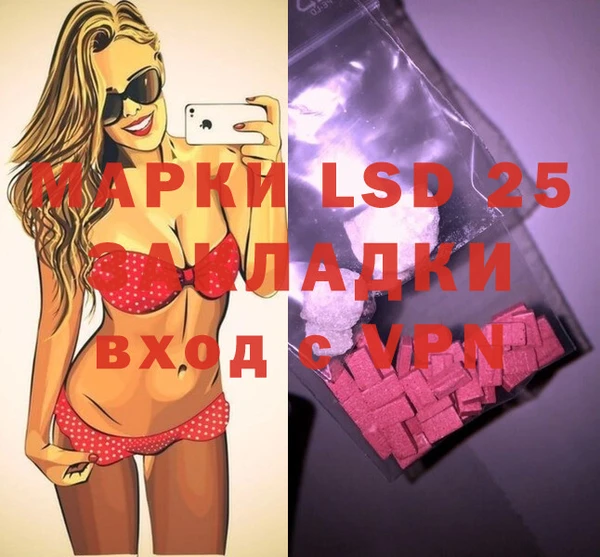 шишки Аркадак