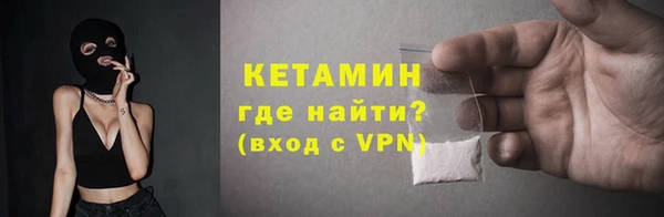 шишки Аркадак