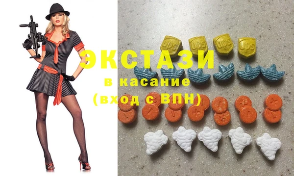 шишки Аркадак