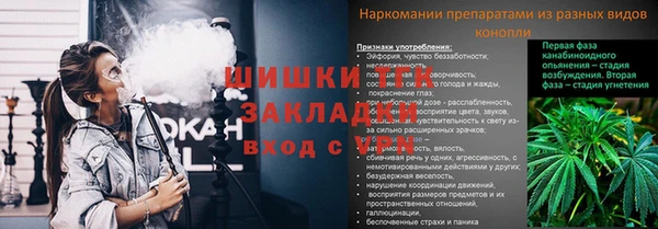 мескалин Арсеньев
