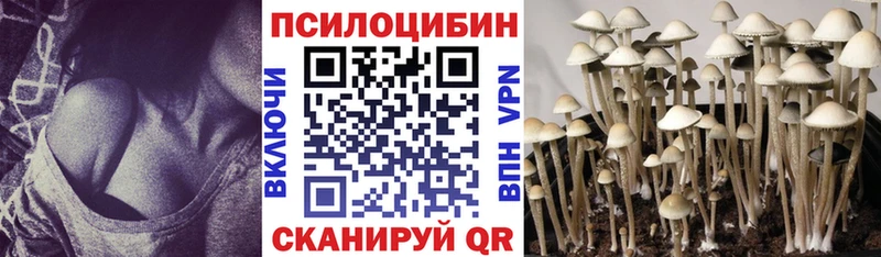 Галлюциногенные грибы MAGIC MUSHROOMS  Купить  Волхов 
